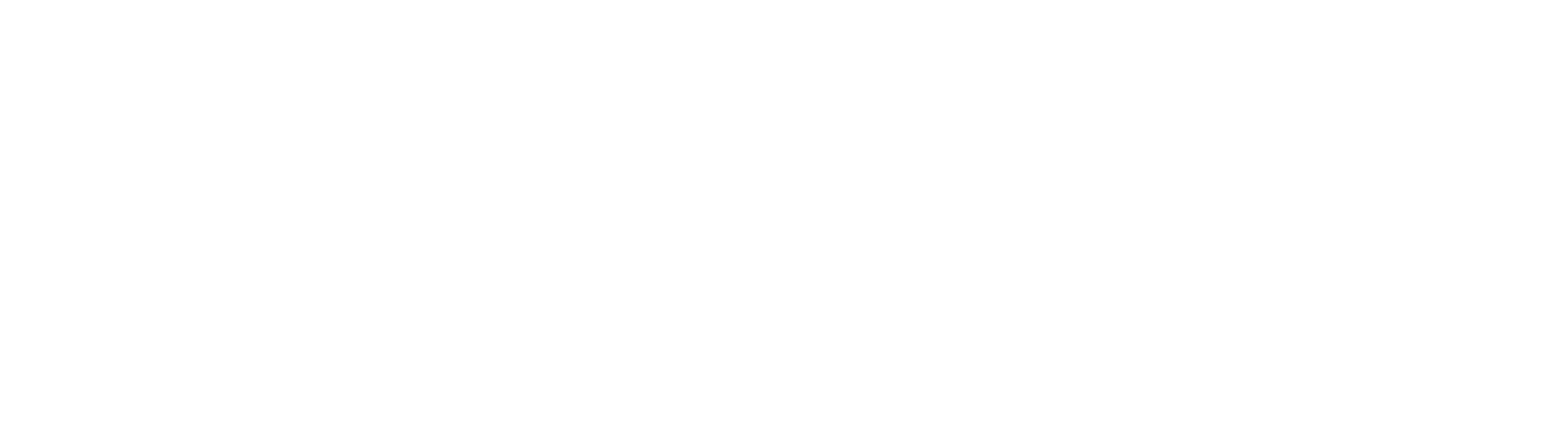 Dark Networks